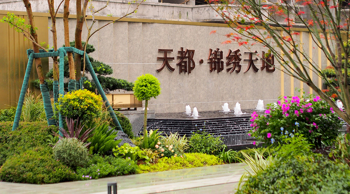 中心城区